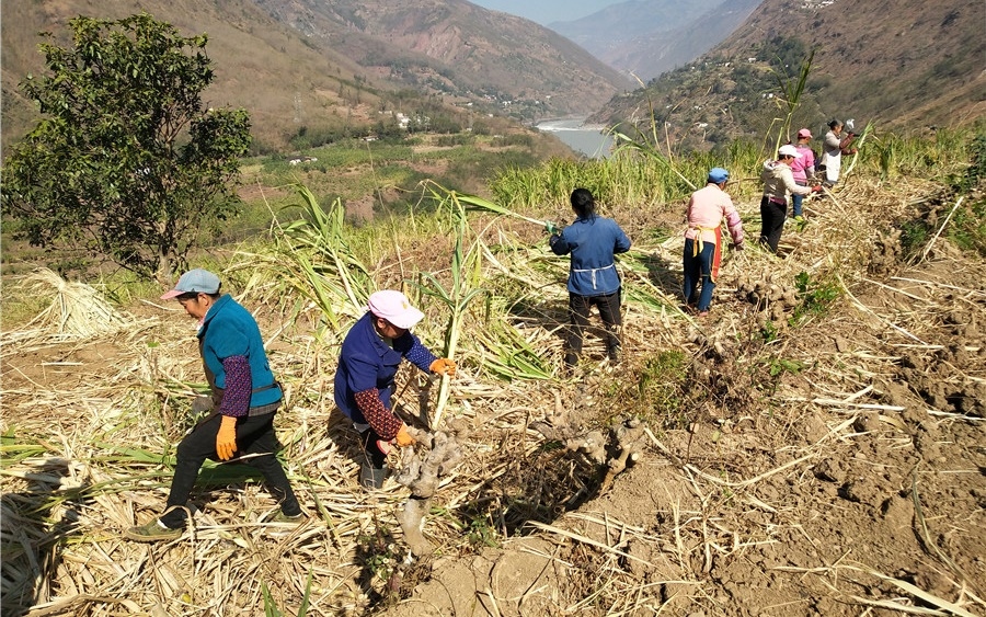 Những thách thức trong tham vọng chấn hưng nông thôn của Trung Quốc